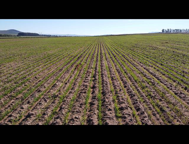 110HA FARM FOR SALE IN MALMESBURY RURAL